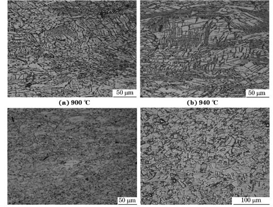 圖５ 在不同溫度、應變速率為０．０１０s－１下壓縮至應變量為７０％后GH４１６９合金的顯微組織
