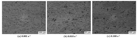 圖６ 在９８０ ℃、不同應變速率下壓縮至應變量為７０％后GH４１６９合金的顯微組織