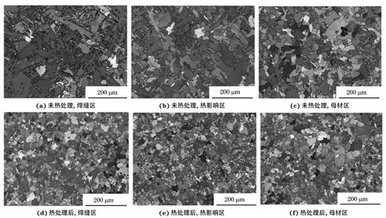 圖２ 熱處理前后焊接接頭焊縫區(qū)、熱影響區(qū)和母材區(qū)的取向成像圖