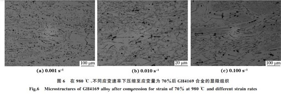 圖６ 在９８０ ℃、不同應(yīng)變速率下壓縮至應(yīng)變量為７０％