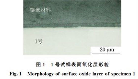 圖１ １號(hào)試樣表面氧化層形貌