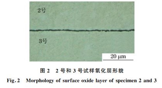 圖２ ２號(hào)和３號(hào)試樣氧化層形貌