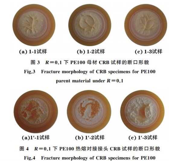 圖４ R＝０．１下 PE１００熱熔對接接頭 CRB試樣的斷口形貌