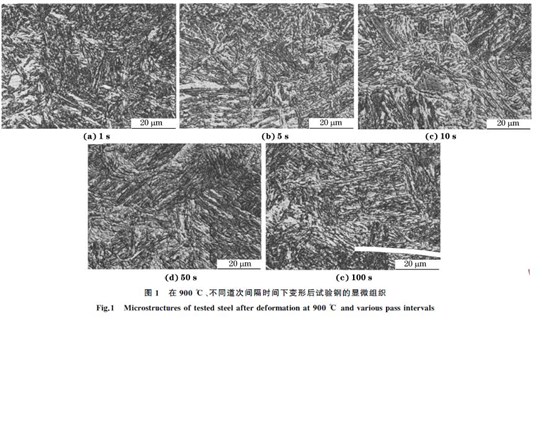 圖１ 在９００ ℃、不同道次間隔時間下變形后試驗鋼的顯微組織