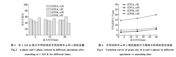 不同試樣中α和γ相的晶粒尺寸隨退火時(shí)間的變化曲線(xiàn)