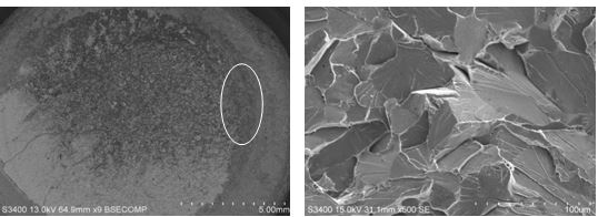 圖15-33 斷口低倍形貌 圖15-34 斷口微觀形貌