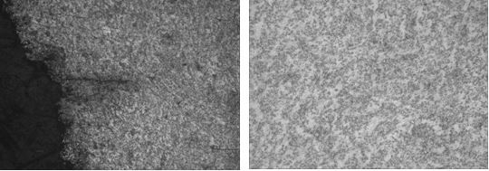 圖16-44 法蘭邊緣裂紋形貌 100× 圖16-45 線材退火組織 500×