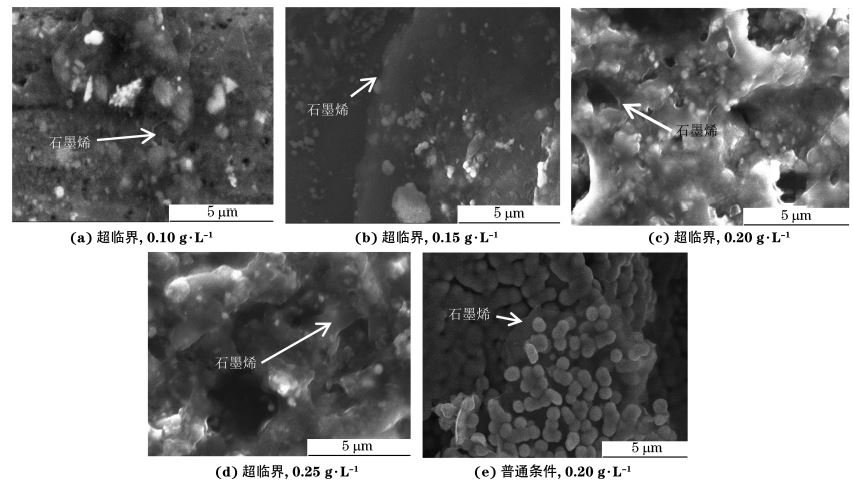 圖２ 兩種條件不同 GO質量濃度下制備復合電鑄層的SEM 形貌