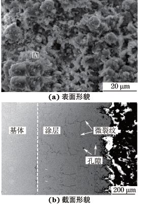 圖６ 高速電弧噴涂FeＧCrＧBＧCＧAl涂層高溫腐蝕試驗后的SEM 形貌