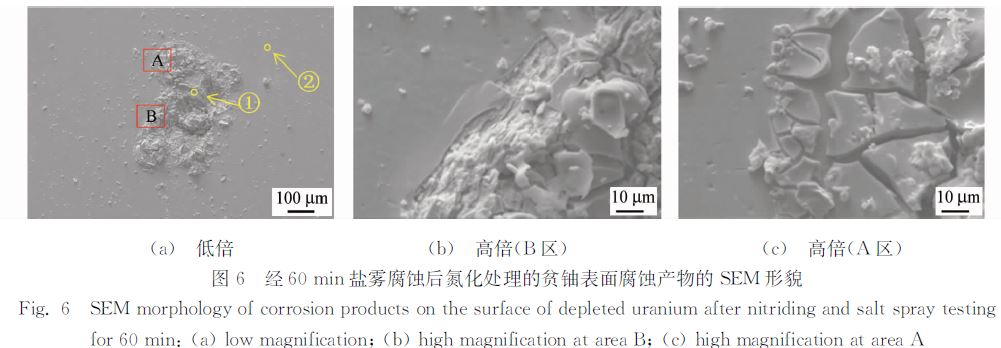 圖６ 經６０ｍｉｎ鹽霧腐蝕后氮化處理的貧鈾表面腐蝕產物的ＳＥＭ 形貌