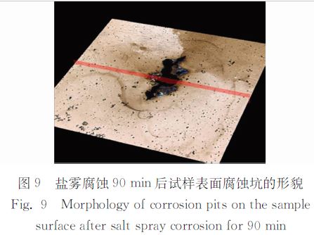 鹽霧腐蝕９０ｍｉｎ后試樣表面腐蝕坑的形貌