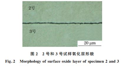 圖２ ２號(hào)和３號(hào)試樣氧化層形貌