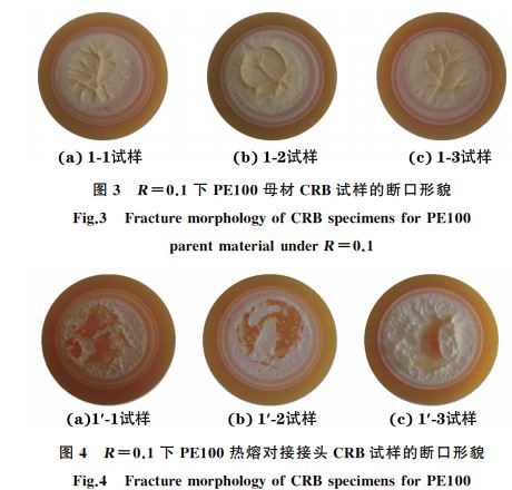 圖４ R＝０．１下 PE１００熱熔對(duì)接接頭 CRB試樣的斷口形貌