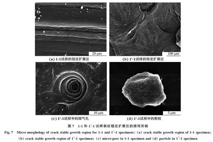 圖７ １Ｇ１和１′Ｇ１試樣裂紋穩(wěn)定擴(kuò)展區(qū)的微觀形貌