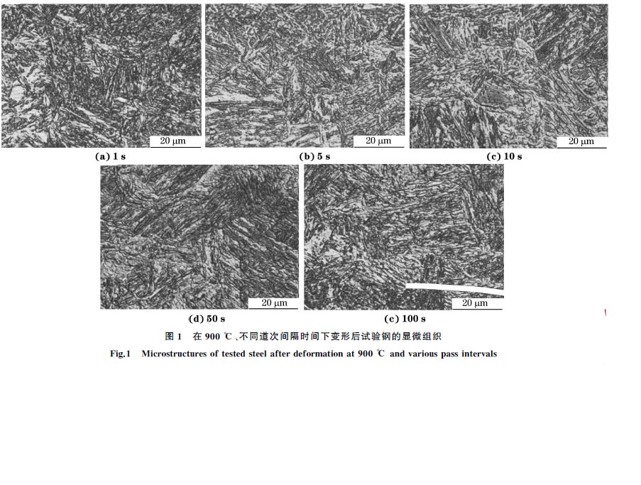圖１ 在９００ ℃、不同道次間隔時間下變形后試驗(yàn)鋼的顯微組織