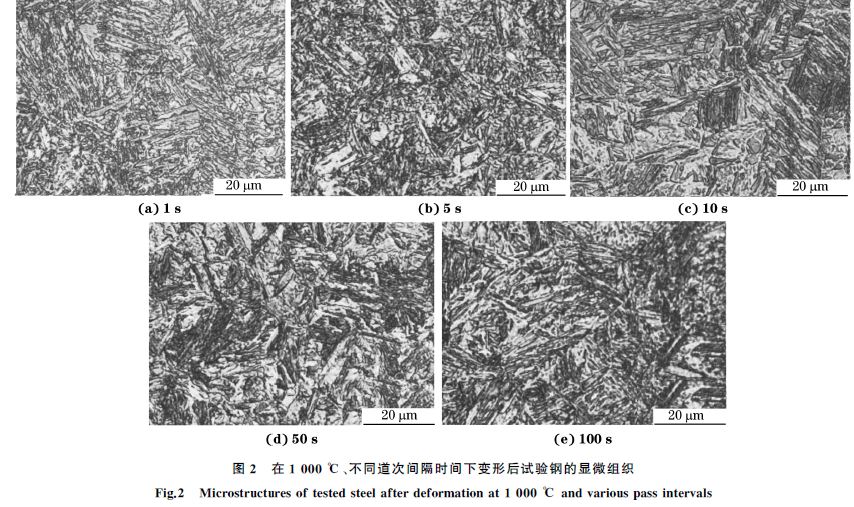 圖２ 在１０００ ℃、不同道次間隔時間下變形后試驗(yàn)鋼的顯微組織