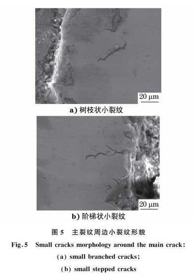 圖５ 主裂紋周邊小裂紋形貌