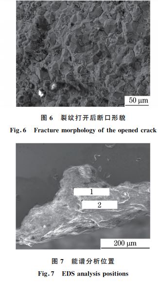 圖６ 裂紋打開(kāi)后斷口形貌