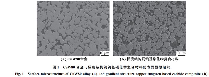 圖１ CuW８０合金與梯度結(jié)構(gòu)銅鎢基碳化物復(fù)合材料的表面顯微組織