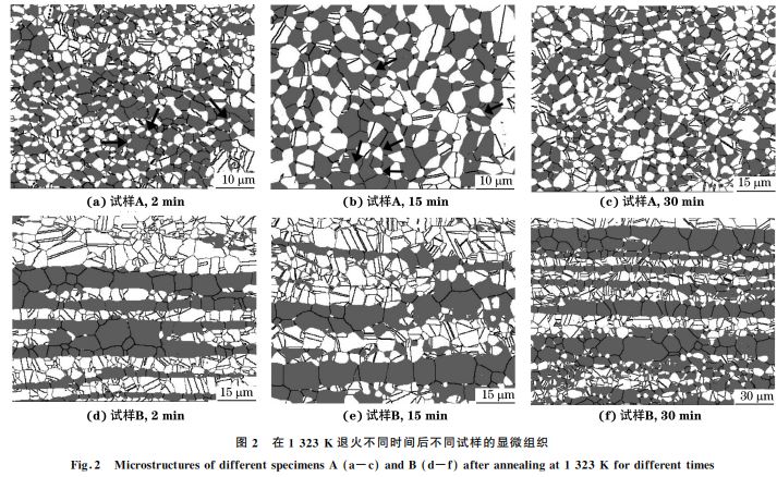 圖２ 在１３２３K 退火不同時(shí)間后不同試樣的顯微組織